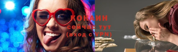 ECSTASY Покров