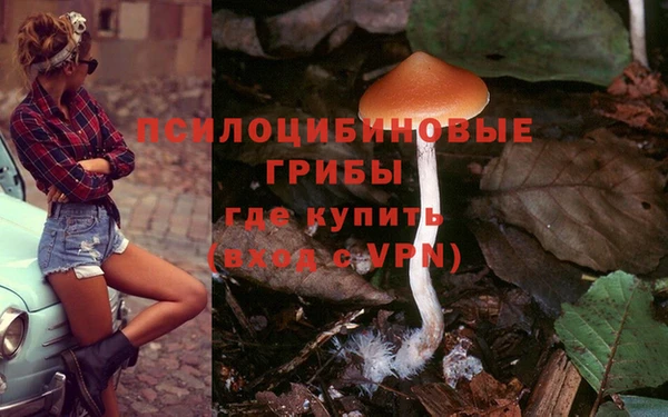 марихуана Покачи