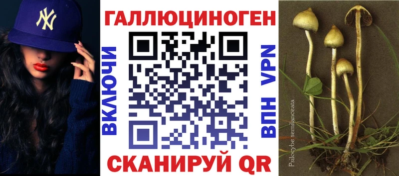 OMG зеркало  Старый Крым  Галлюциногенные грибы прущие грибы 